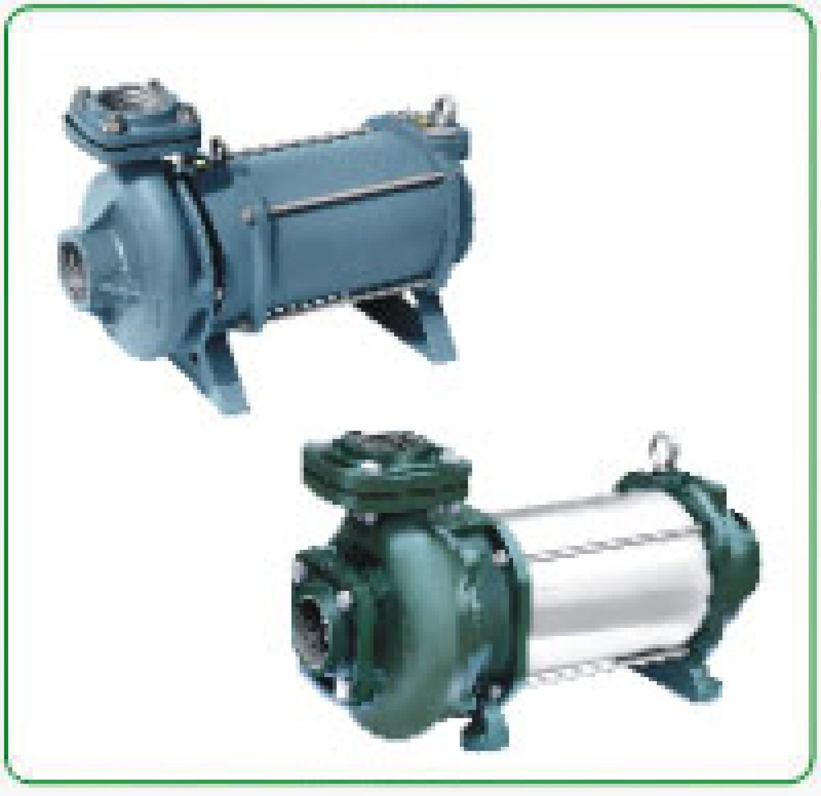 Oswal Pumps 1440 RPM Single Phase | PumpsCart